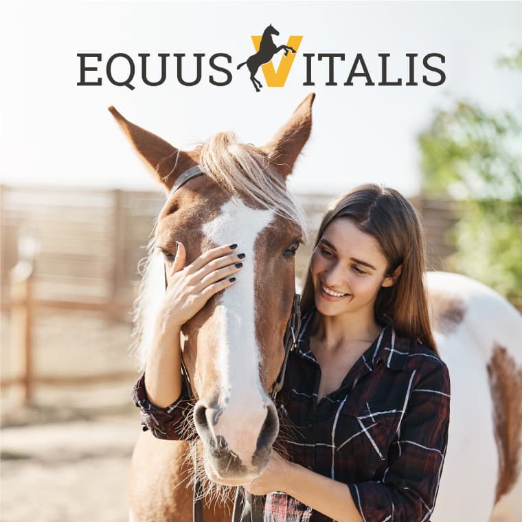 EquusVitalis Logo mit einer Frau und einem Pferd